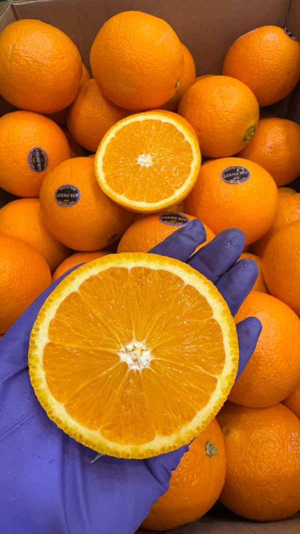 甜黑牌88規格-大肚臍丁8入 