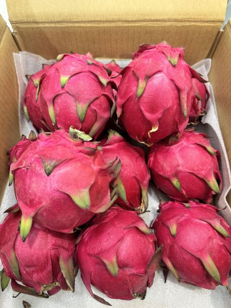 瑞穗12規格紅肉火龍果3入 