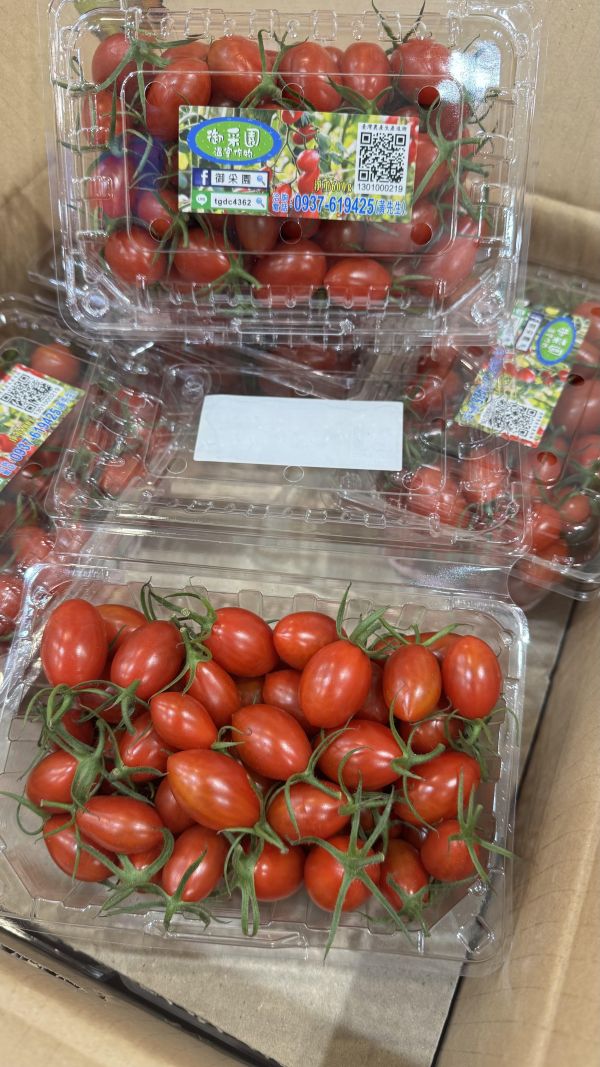 皮薄包甜高山-玉女小番茄 