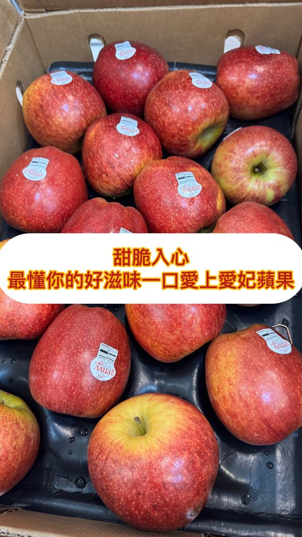 32規格-智利一級愛妃蘋果-5入 