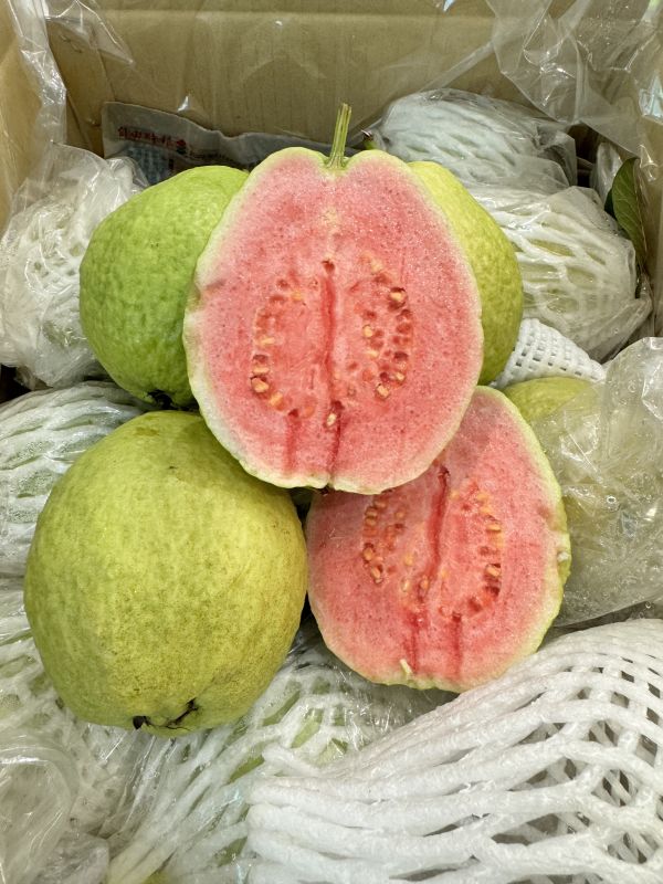 脆甜-大顆紅心芭樂4入 