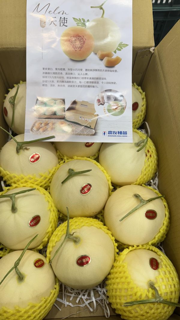 溫室-天使紅肉哈密瓜（單顆600g-700g） 