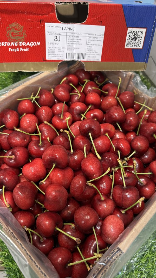 智利-脆甜3JD櫻桃(脆甜Santina) 