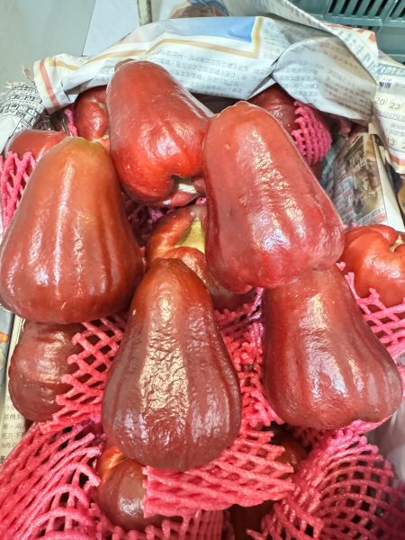 精品黑甜-大顆黑糖芭比蓮霧2斤 