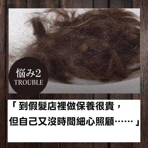 【假髮專用】洗潤二合一洗髮精適用真髮/記憶絲日本原裝進口 假髮,假髮洗髮精,假髮帽,記憶絲