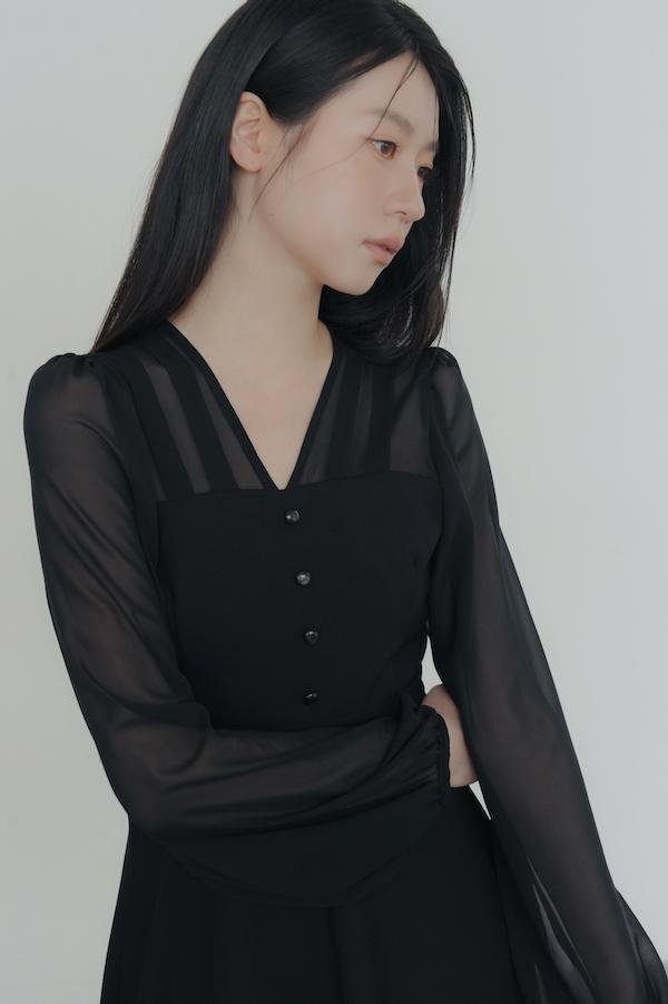 V領雪紡透膚長洋裝(黑) 