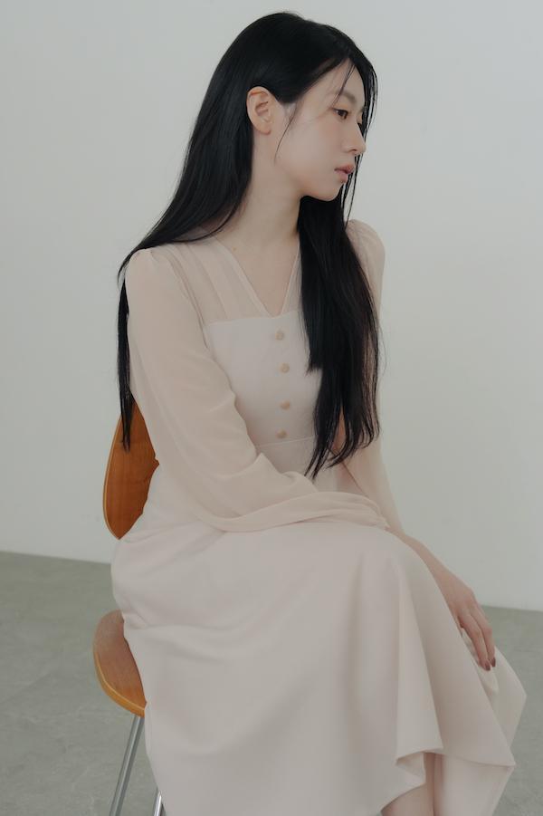 V領雪紡透膚長洋裝(裸膚) 