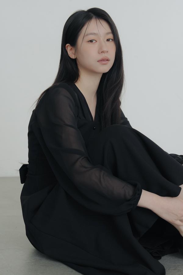 V領雪紡透膚長洋裝(黑) 