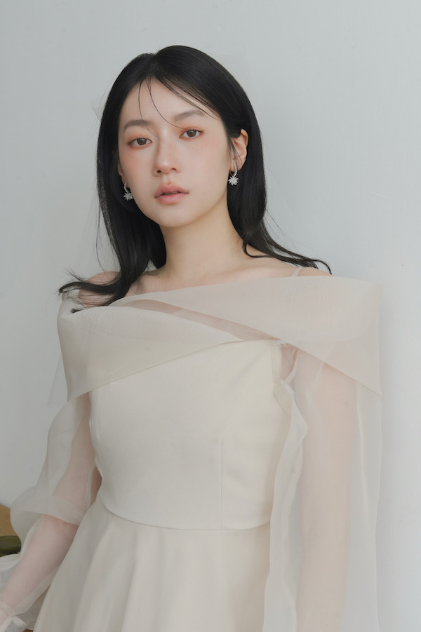 翻領卡肩透紗長洋裝(米) 