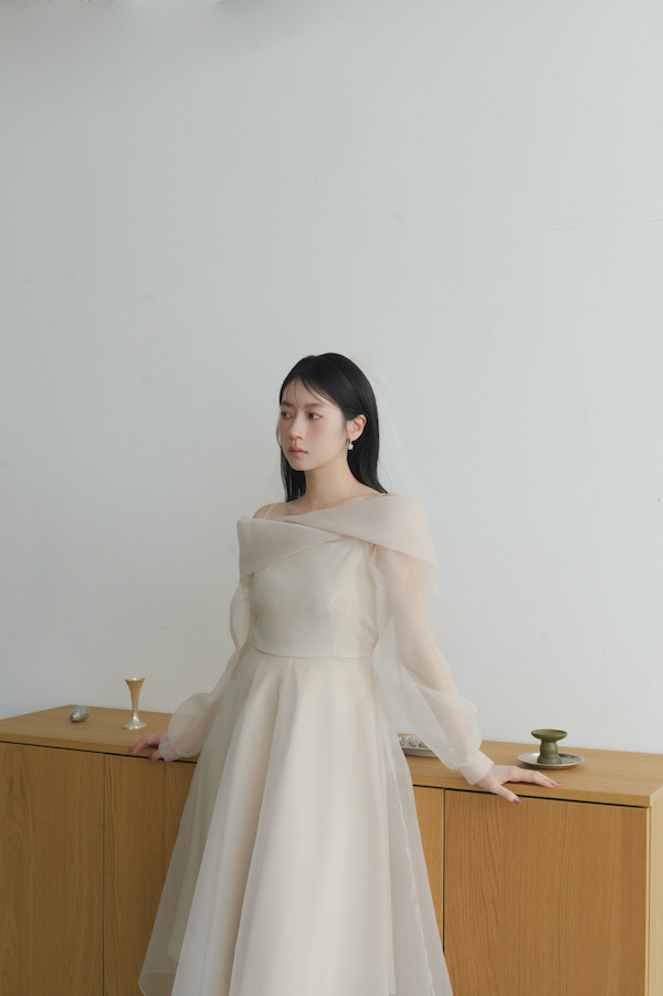 翻領卡肩透紗長洋裝(米) 