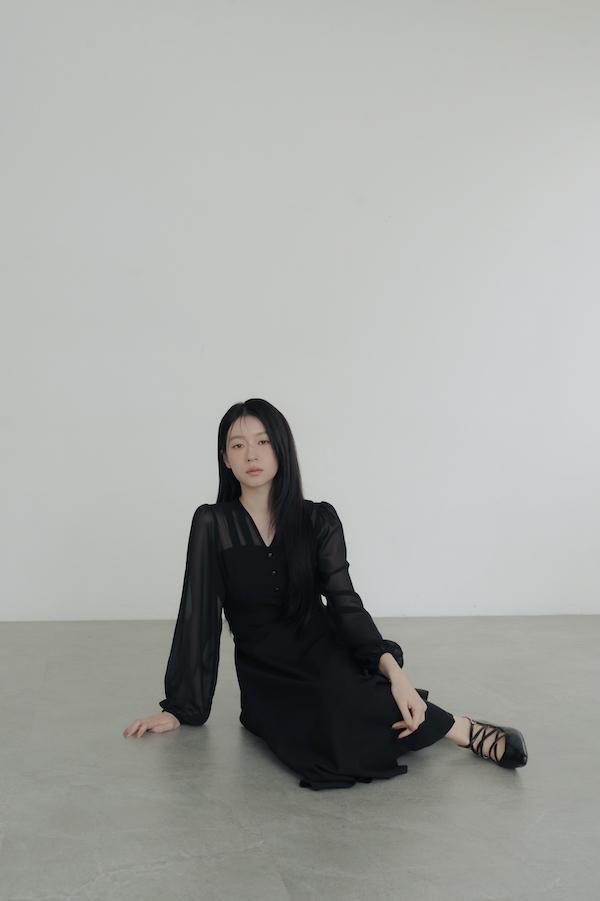 V領雪紡透膚長洋裝(黑) 