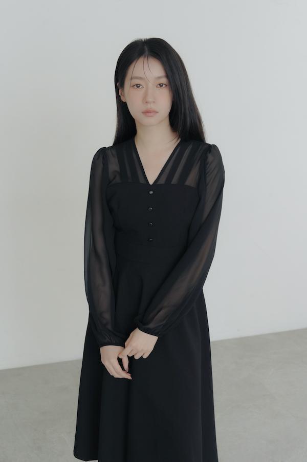 V領雪紡透膚長洋裝(黑) 