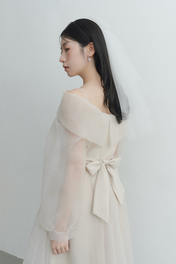 翻領卡肩透紗長洋裝(米) 