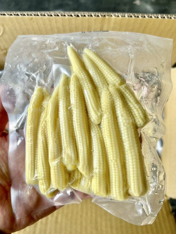 玉米筍 農會玉米筍,玉米筍功效,玉米筍種植,玉米筍產季,玉米筍全聯,紅鬚玉米筍.玉米,玉米筍,真空包裝玉米筍.新鮮玉米筍,玉米筍食譜,玉米筍的烹飪方法,玉米筍的選購建議,玉米筍的營養價值,玉米筍的健康益處,玉米筍的保存方法