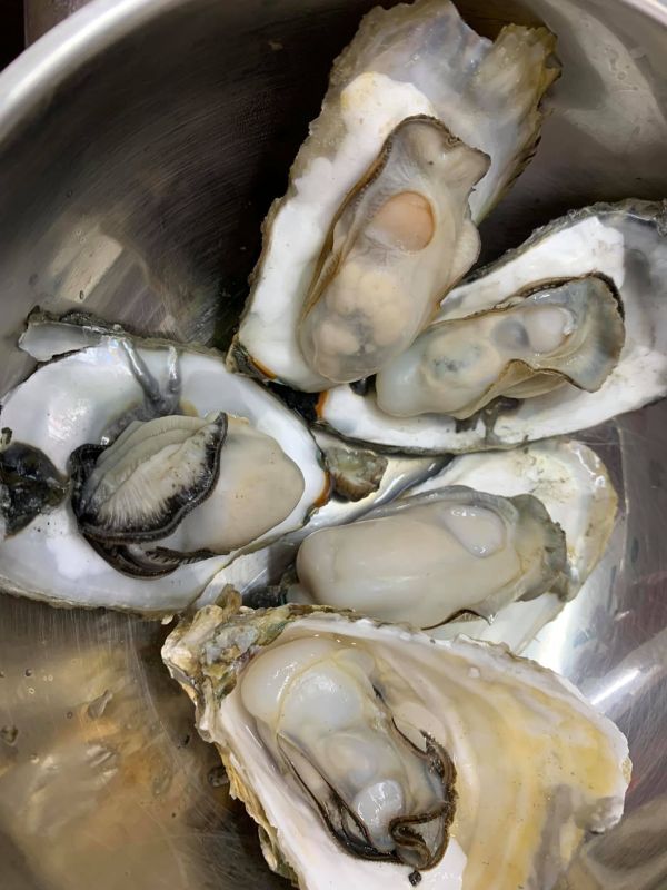 嘉義東石帶殼牡蠣(預購)限自取 嘉義東石帶殼牡蠣 
中秋烤肉必吃
烤肉食材