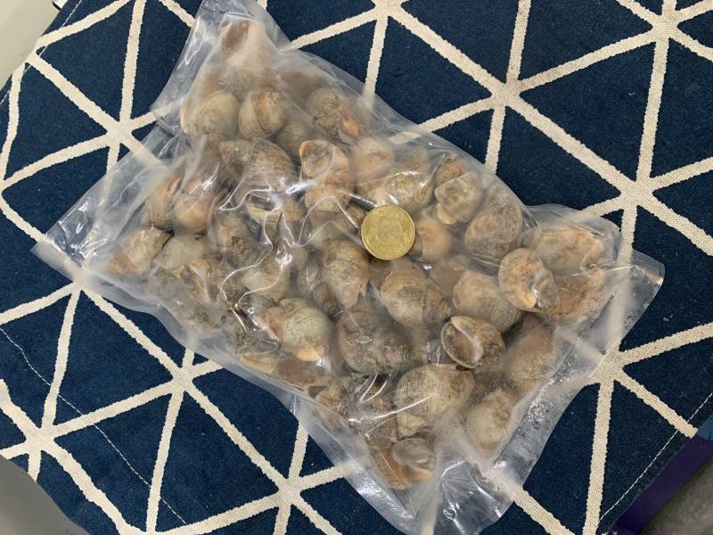 Q彈鳳螺500g 