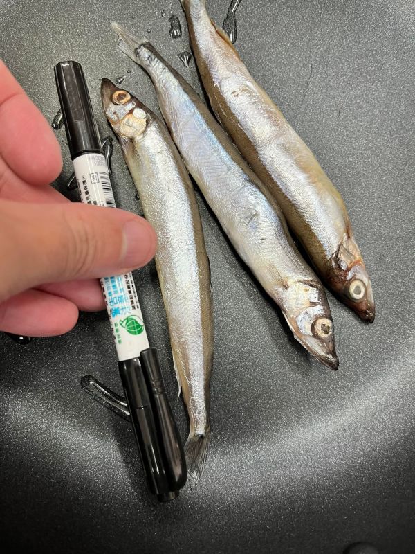生凍柳葉魚(喜相逢) 