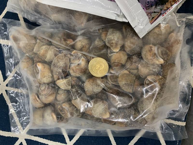 Q彈鳳螺500g 