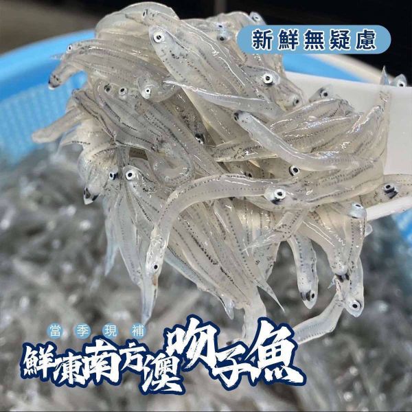 生吻仔魚 