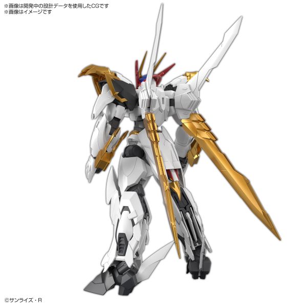 萬代 HG IMGN 龍王丸 增幅版 