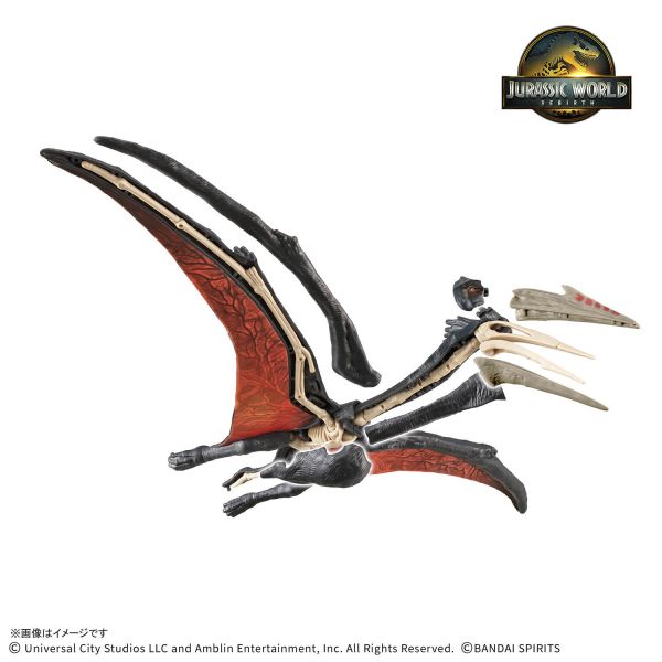 萬代 恐龍組裝模型 JURASSIC WORLD 風神翼龍 