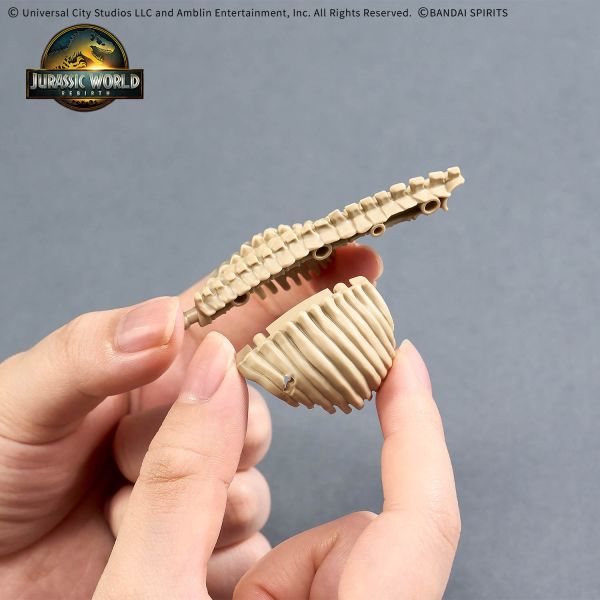 萬代 恐龍組裝模型 JURASSIC WORLD 暴龍 