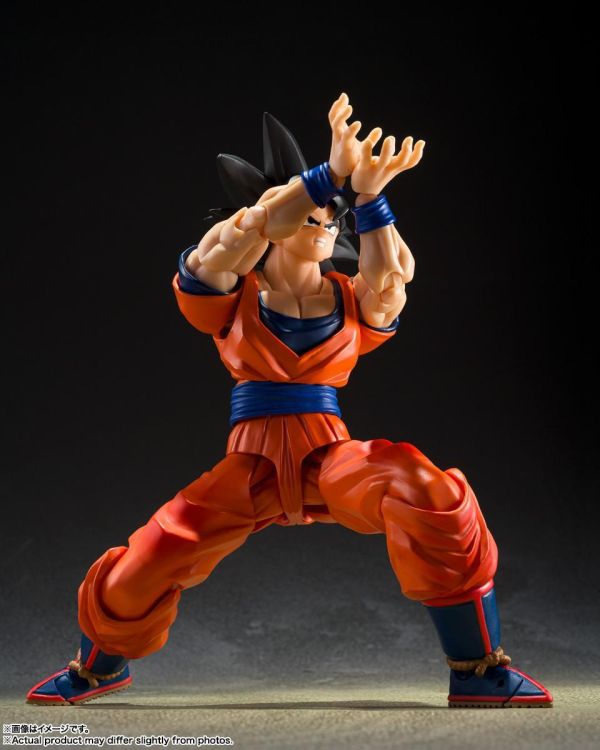 萬代 S.H.Figuarts 七龍珠Z 孫悟空 心地善良的賽亞人 