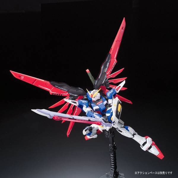 萬代 RG #11 1/144 命運鋼彈 鋼彈SEED DESTINY 
