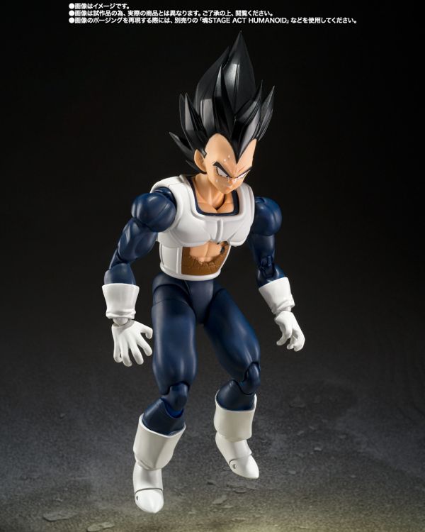 萬代 S.H.Figuarts 貝吉塔 達爾 舊戰鬥服 七龍珠Z 