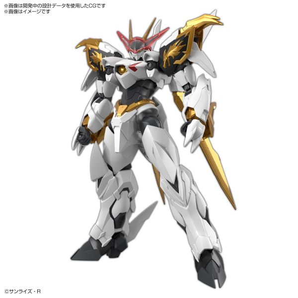 萬代 HG IMGN 龍王丸 增幅版 