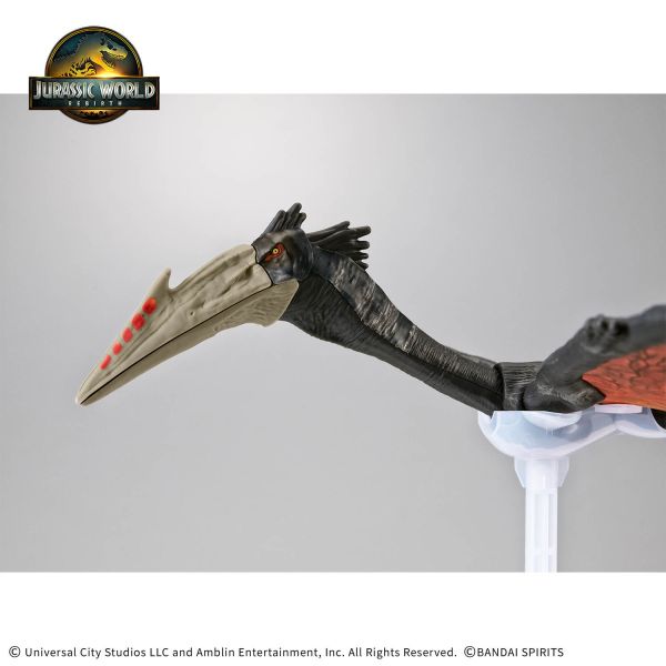萬代 恐龍組裝模型 JURASSIC WORLD 風神翼龍 