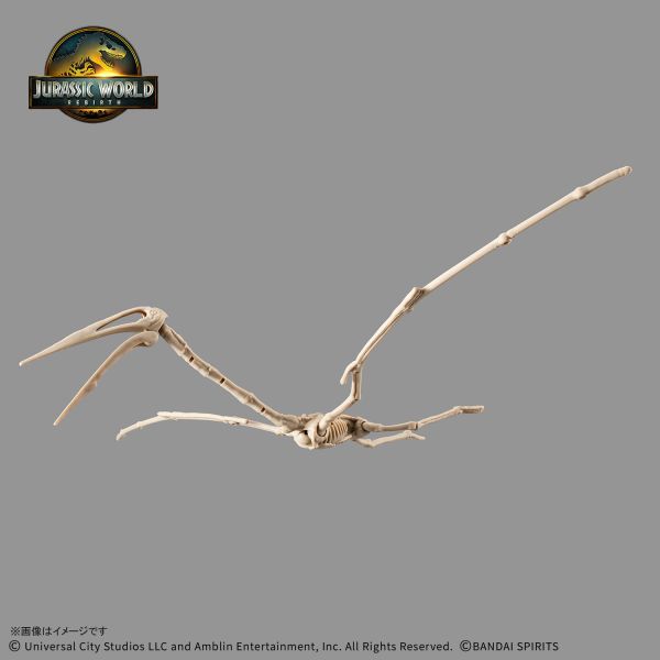 萬代 恐龍組裝模型 JURASSIC WORLD 風神翼龍 