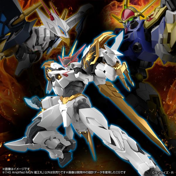 萬代 HG IMGN 龍王丸 增幅版 