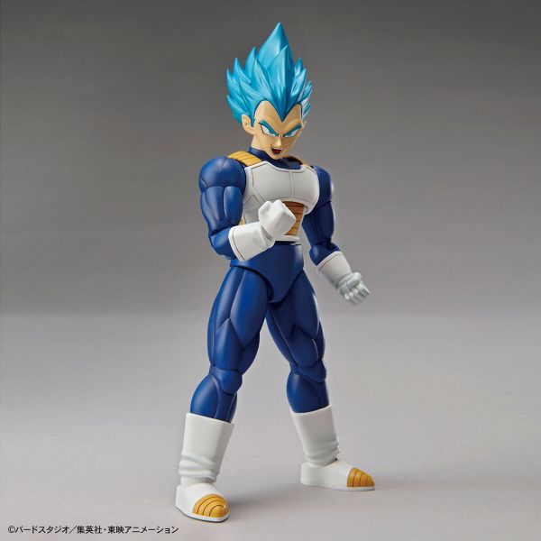 萬代 Figure-rise Standard 超級賽亞人之神超級賽亞人達爾(新包裝) 