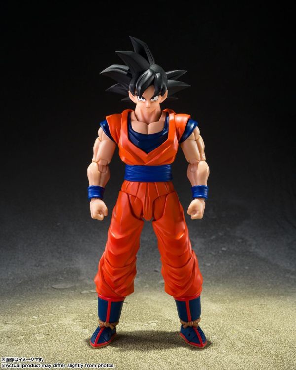 萬代 S.H.Figuarts 七龍珠Z 孫悟空 心地善良的賽亞人 