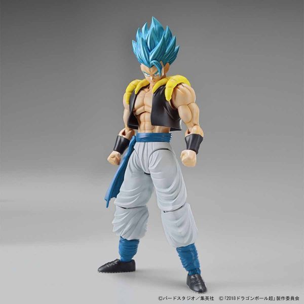 萬代 Figure-rise Standard 七龍珠 超級賽亞人之神超級賽亞人 悟達爾 