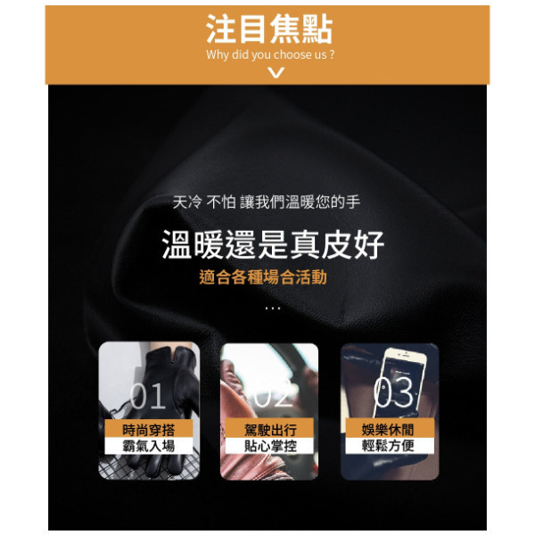 羊皮全指可觸碰螢幕男士騎車手套【LGL17】 