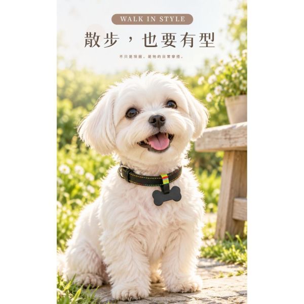 頭層牛皮寵物項圈【LW89】 