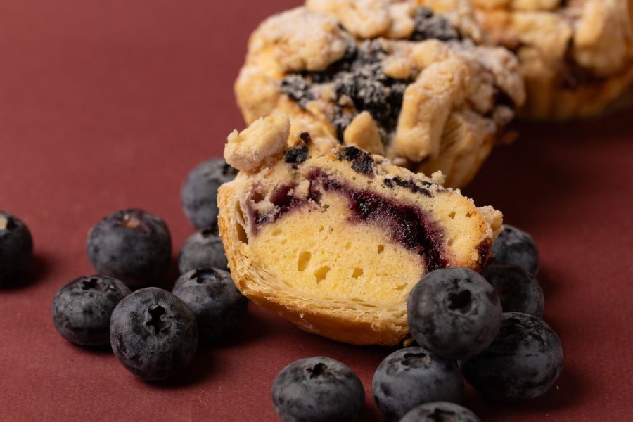 【新品】藍斯達爾 