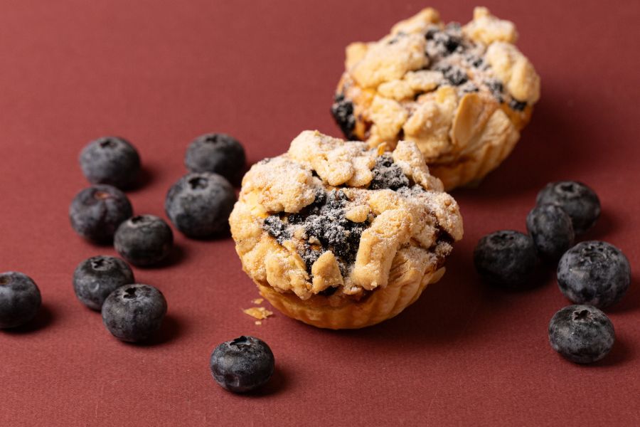 【新品】藍斯達爾 