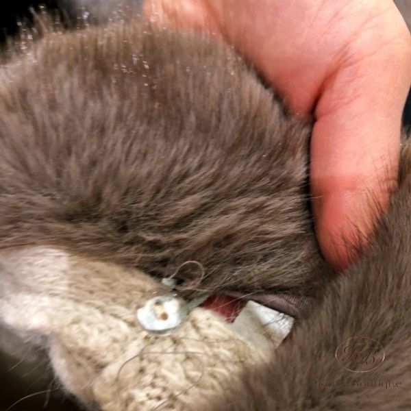 Fw483 冬季 毛毛領針織外套 