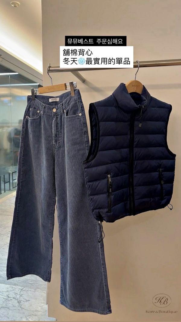 Fw372 秋季 顏色好好看到鴨絨背心 