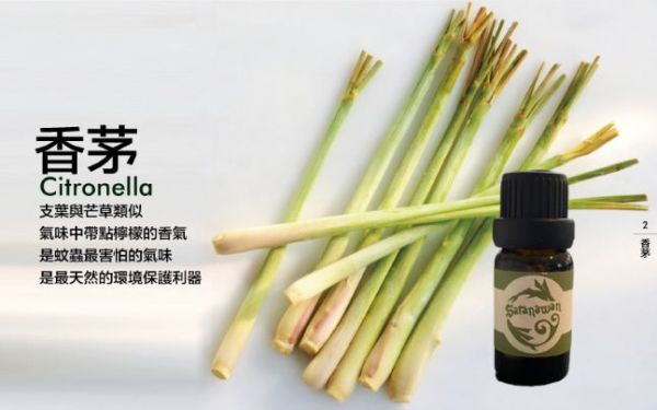 特制香茅精油(10ml) 長濱鄉,文健站,香茅精油,秋月商店