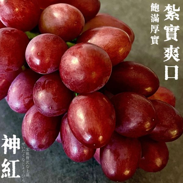 島根県｜神紅麝香｜伯爵茶香 島根県｜神紅麝香｜伯爵茶香