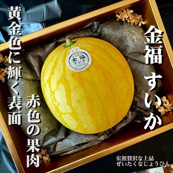 日本福井｜金福西瓜｜黃金西瓜 日本金福西瓜｜甜過初戀的極品限定
日本福井｜金福西瓜｜黃金西瓜