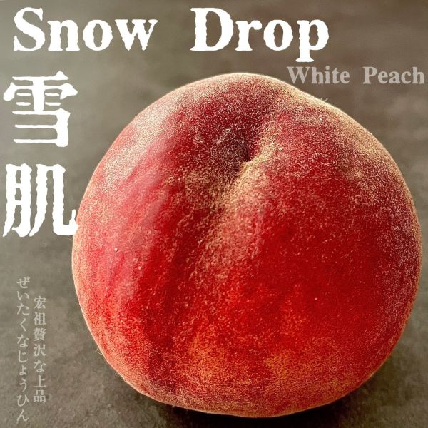 SNOW DROP｜雪肌水蜜桃 