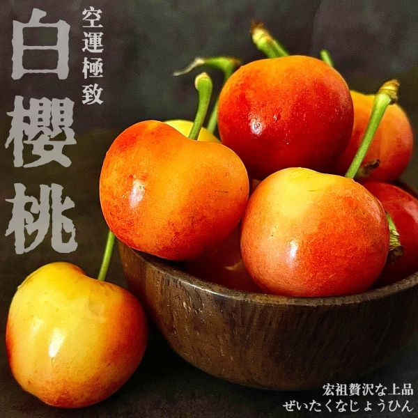 空運白櫻桃|夢幻櫻桃系列 空運白櫻桃｜夢幻櫻桃系列