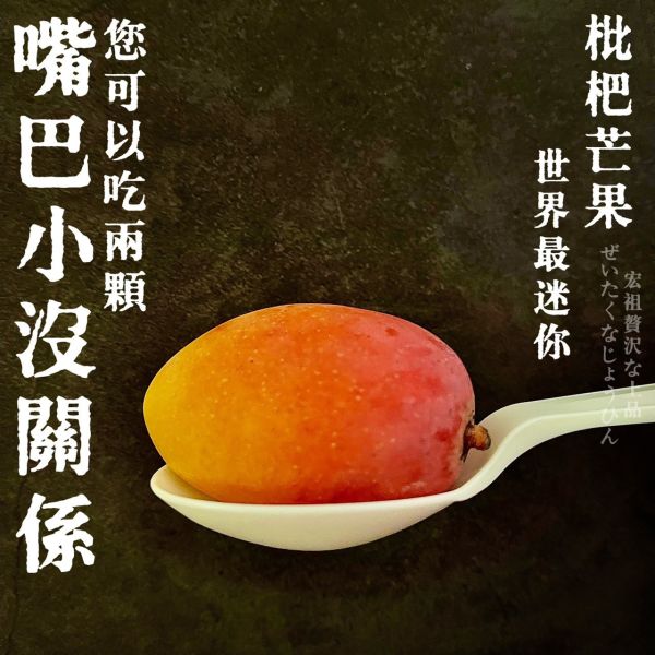 超迷你琵琶芒果｜話題神器 超迷你枇杷芒果｜話題神器