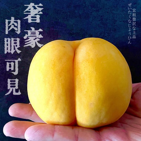 日本山形｜黃金水蜜桃｜黃金傳說 日本山形｜黃金水蜜桃｜黃金傳說