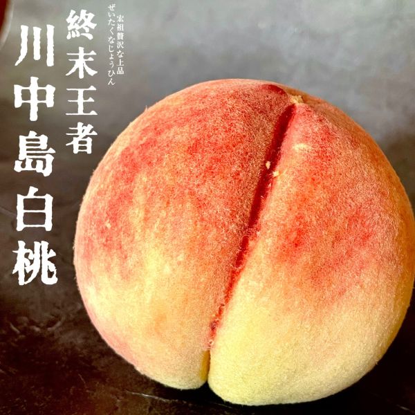 全能之王｜日本山形縣｜水蜜桃 全能之王｜日本山形縣｜水蜜桃
